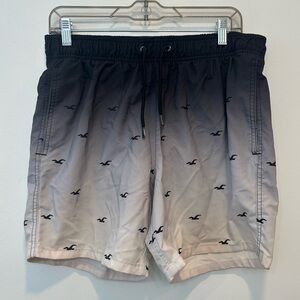 Men’s Hollister Swim Trunks